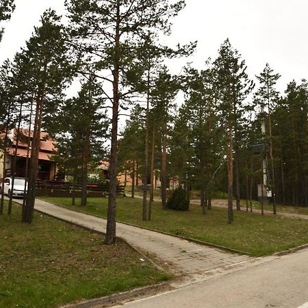 Vikendica Maksimovic - Tara - Primamo Vaucere Villa คาลูแยร์สแก บาเร ภายนอก รูปภาพ