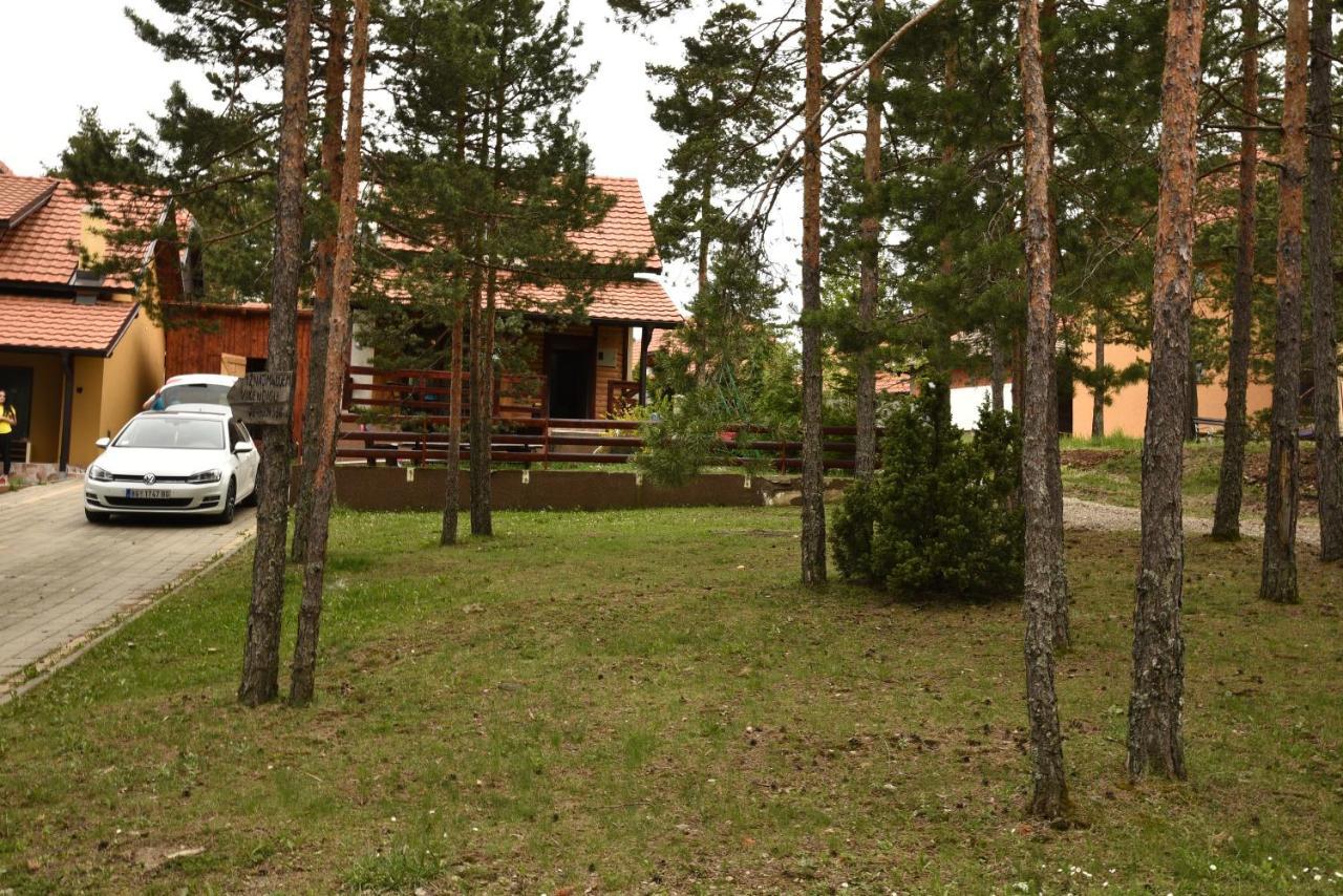 Vikendica Maksimovic - Tara - Primamo Vaucere Villa คาลูแยร์สแก บาเร ภายนอก รูปภาพ